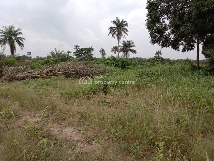 For Sale 450sqm Land In A Well Builtup Estate, Beechwood Estate