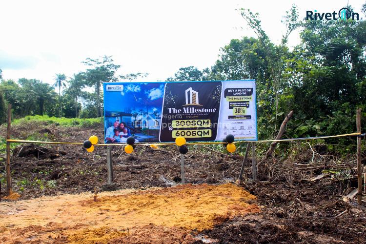 For Sale Achieve A Milestone, Phase 7, Man Protein, Oraepe, The