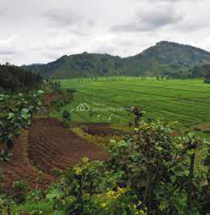 For Sale Acres Of Farmland Available, Close To Saint Augustine