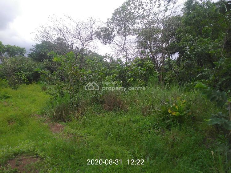 For Sale Blue Lake Layout, Ugwuomu Nike, Beside Godfrey Okoye