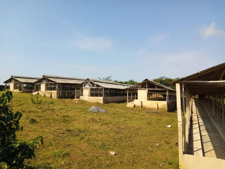 For Sale 4arcres Of Function Farm Land, Epe, Lagos Nigeria Property