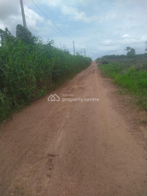 For Sale Farm Land, Off Epeijabu Ode Road, Epe, Lagos Nigeria