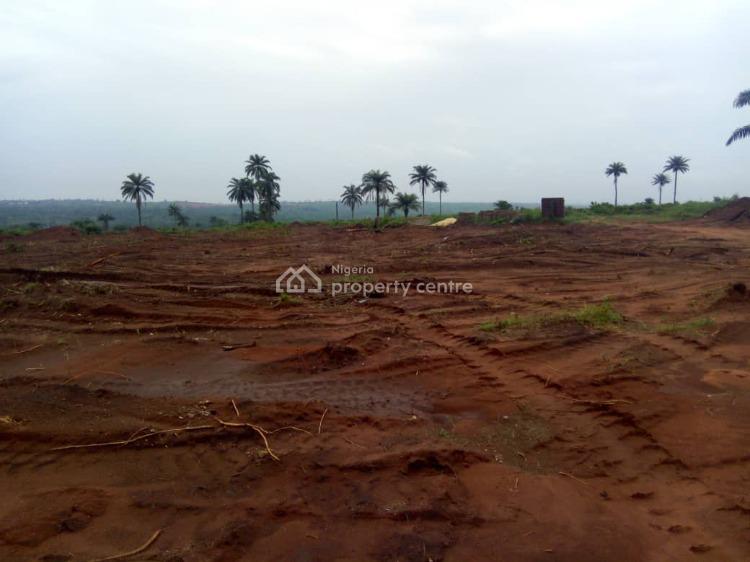 For Sale Plots Of Land In An Estate In A Serene Location, Beside Asaba