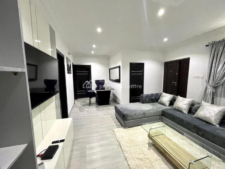 Well Furnished 2 Bedroom, Ikoyi, Lagos, Flat / Apartment Short Let