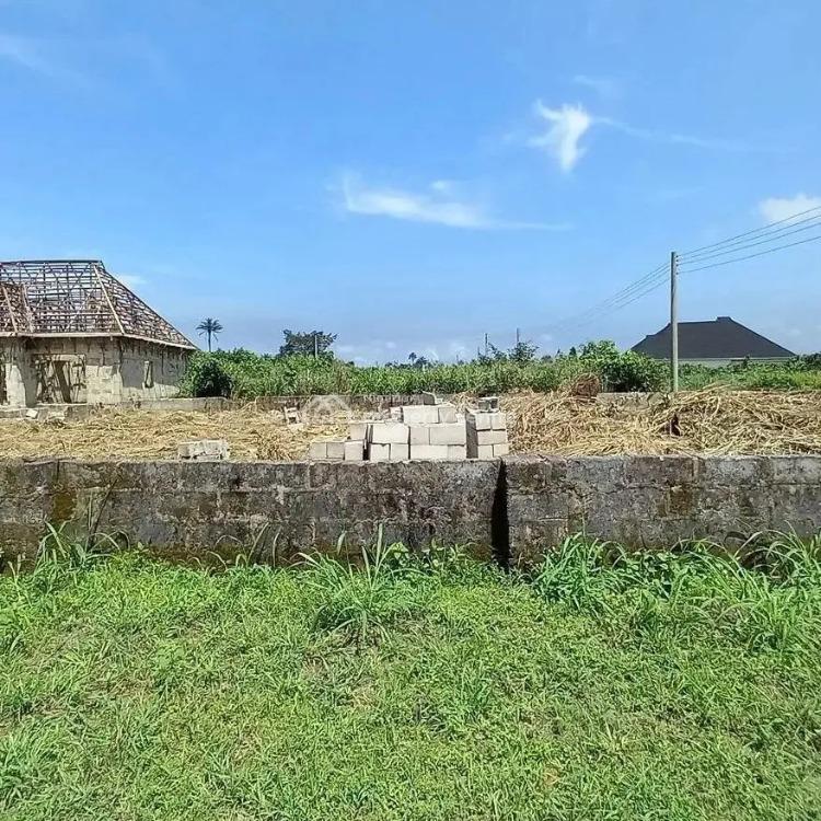 For Sale Buy Plots, Fountain Estate Redeem Camp Road, Rukpokwu, Port