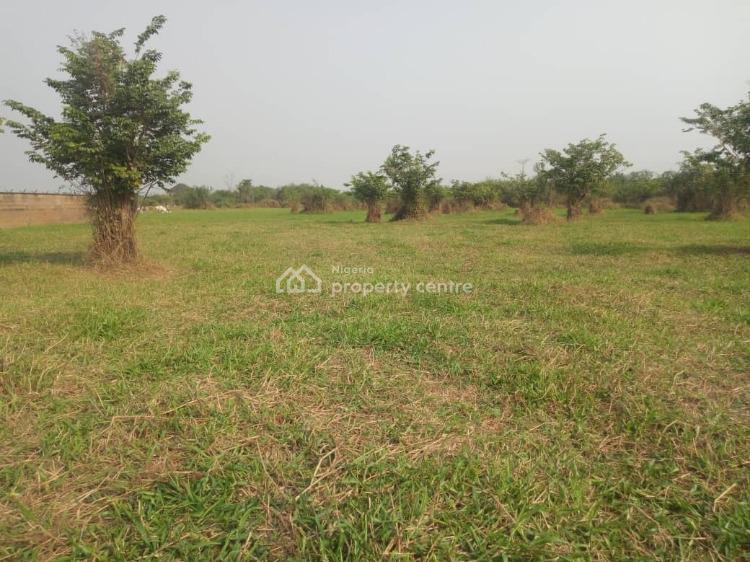 For Sale Affordable Land With Flexible Payment Plan, Channels Tv