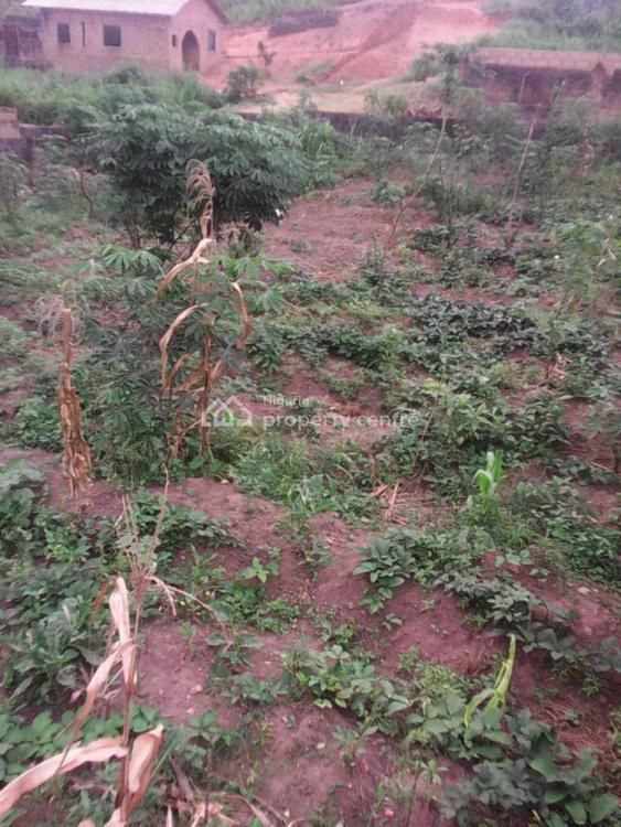 For Sale Corner Piece Land With Fence And Gate, Peace Valley Estate, Rando. Oke Aro, Agbado