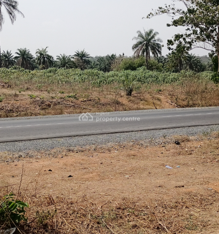 For Sale Most Affordable Government Consent Land Facing Express, Ruby