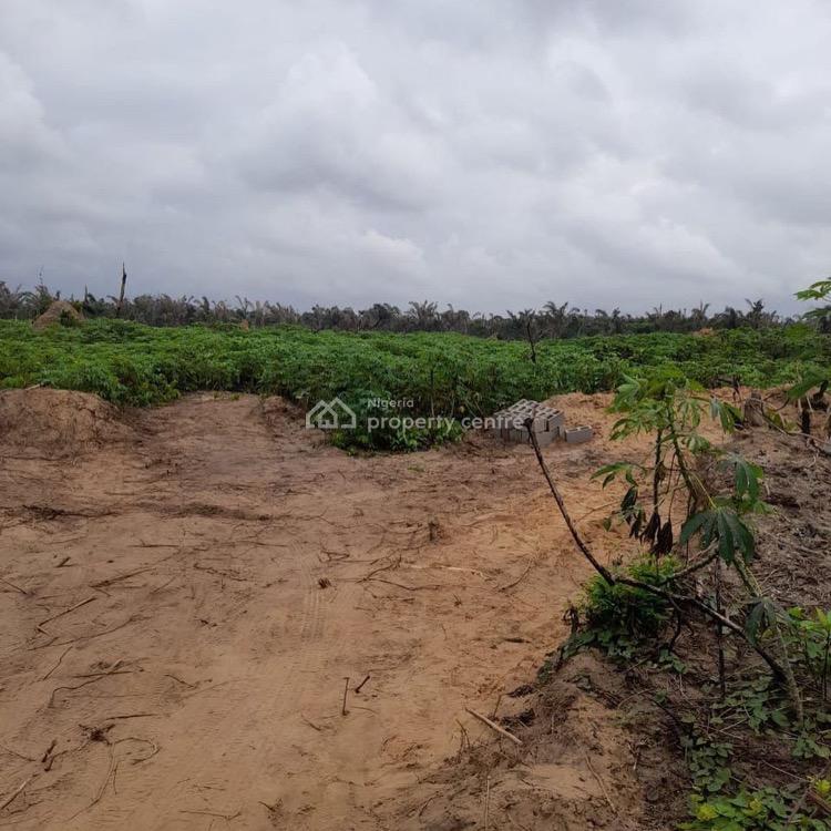 For Sale Land, Alpha Island Idi Iroko Behind Lekki Free Trade Zone, Ibeju Lekki, Lagos (Ref