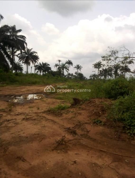 For Sale Land In A Strategic Location, Owerri West, Imo Nigeria Property Centre (Ref 1224845)