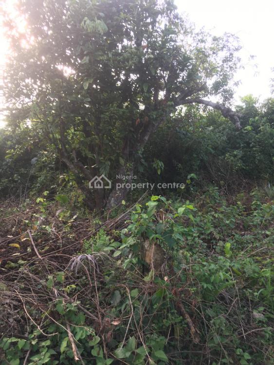 For Sale Plots And Acres Of Land, Alebiopon, Mowe Ofada, Ogun