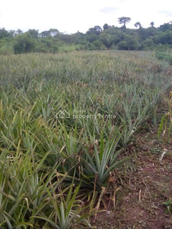 For Sale Farm Land, Mowe Ofada, Ogun Nigeria Property Centre (Ref