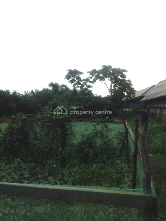 For Sale 200x100 (1/2 Acre), Udu Bridge, Udu, Delta Nigeria Property