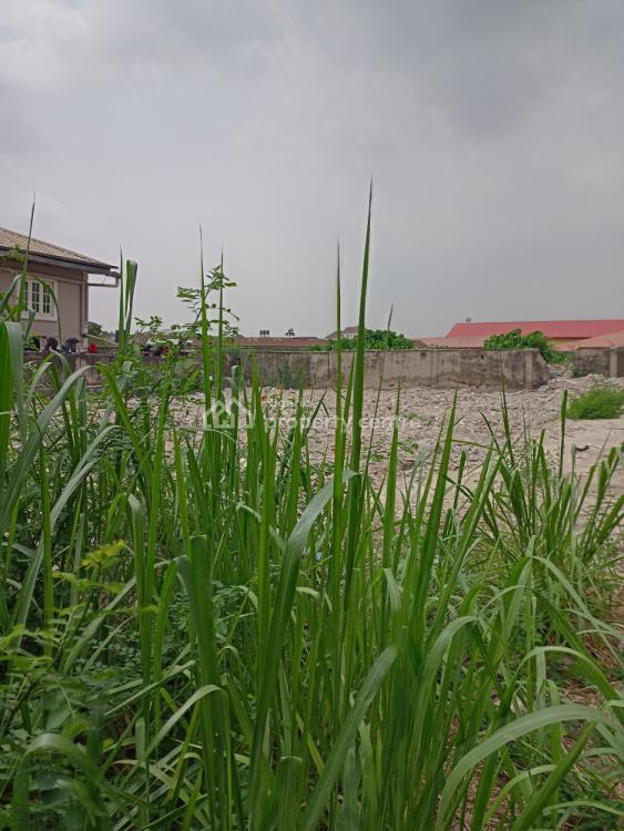 For Sale 420sqm Fence & Gated Bare Land, Medina Estate, Gbagada, Lagos