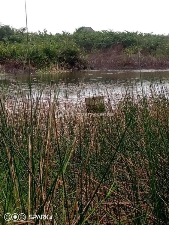 For Sale Water Front 10 Acres Of Land, Igbede Town, Alaba, Ojo, Lagos