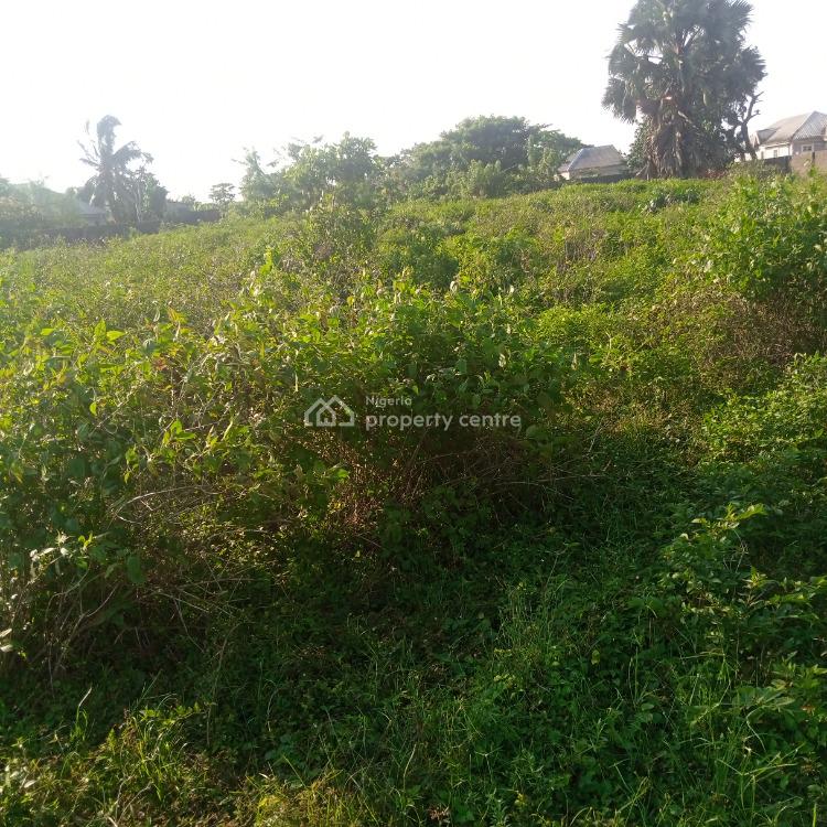 For Sale Two Acres Of Land,well Fenced With Gate On Both End, 234. Badagry Express Way., Age