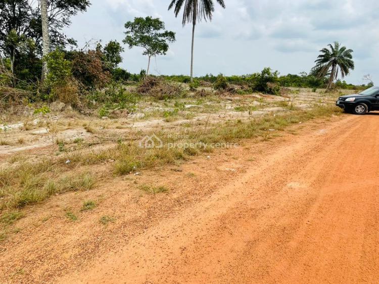 For Sale Affordable Dry Land, Igbonla Epe, Epe, Lagos Nigeria