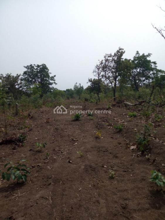 For Sale Vast Genuine Investment Plain Land, Kwasu, Malete, Moro, Kwara Nigeria Property