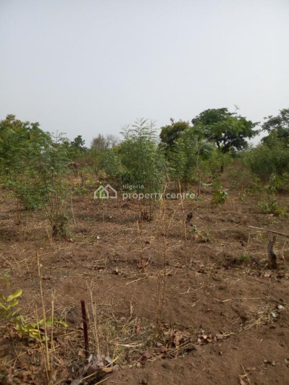 For Sale Vast Genuine Investment Plain Land, Kwasu, Malete, Moro, Kwara Nigeria Property
