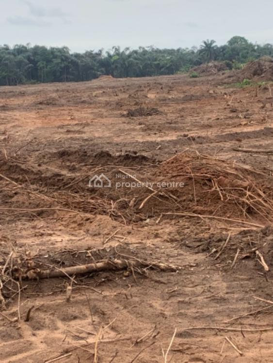 For Sale Free Hold Survey, Lekki, Lagos Nigeria Property Centre (Ref