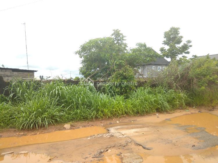 For Sale Mixedused Plot Of Land (100 By 100), Ulo Off Asabaigbuzor