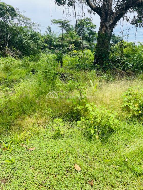 For Sale Promo! Dry Acres Of Land In The Fastest Growing Location For Investment, Bethel