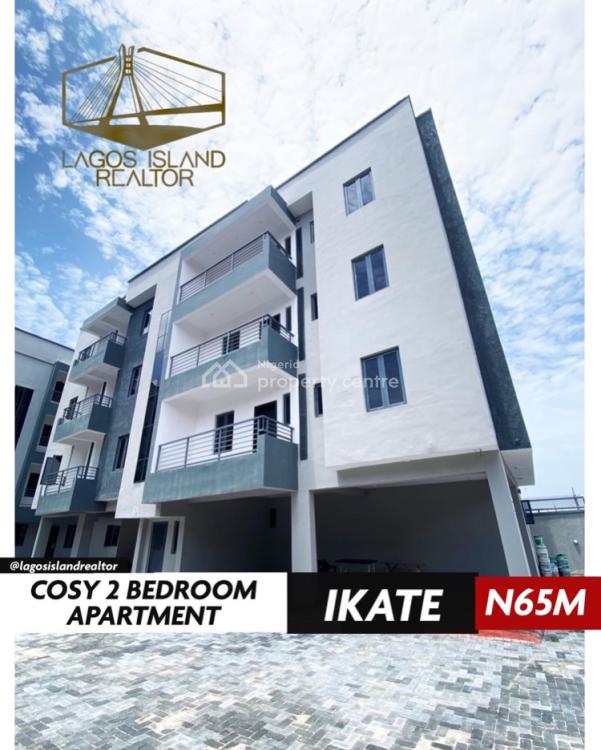 For Sale Cozy 2 Bedroom Apartment, Salem Road, Ikate Elegushi, Lekki, Lagos 2 Beds, 2 Baths