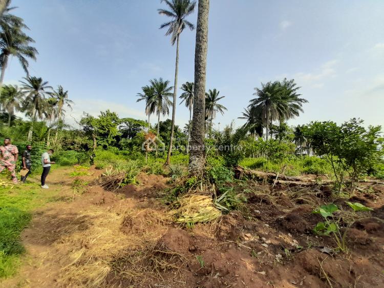 For Sale 7 Acres Of Land, Beside Swan Estate, Kobape, Abeokuta, Abeokuta South, Ogun (Ref 1330284)