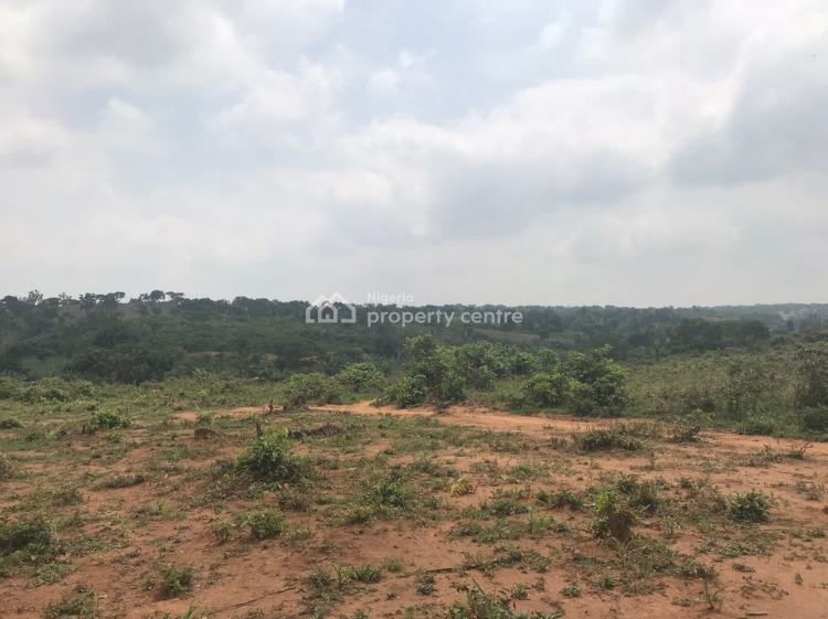 For Sale 1000 Sqm Estate Plot, Maitama 2, Maitama District, Abuja