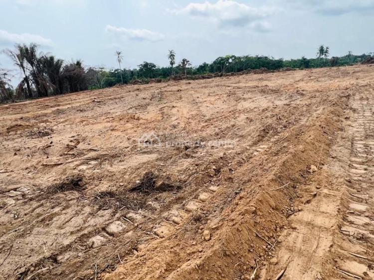 For Sale High Returns Land With Freehold Title, Registered Survey And