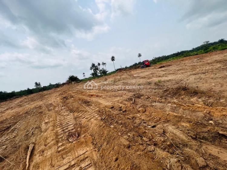 For Sale High Returns Land With Freehold Title, Registered Survey And