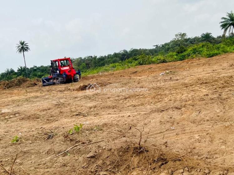 For Sale High Returns Land With Freehold Title, Registered Survey And