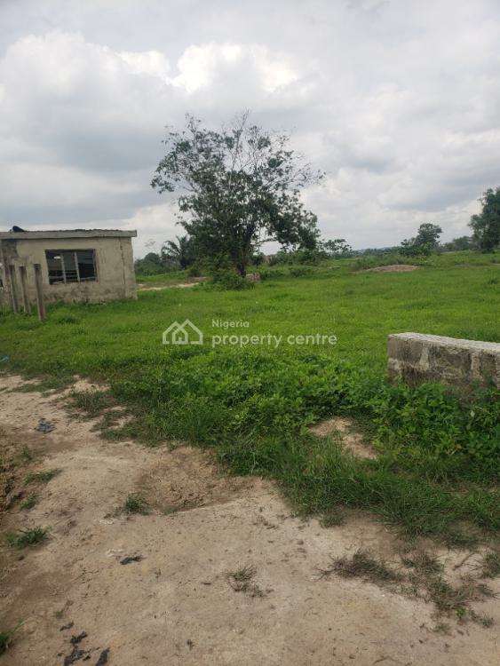 6 and Half Acres of Land Fenced and Gated, Ogbo Ayo Ijoko Back of Dangote Company, Sango Ota, Ogun, Mixed-use Land for Sale