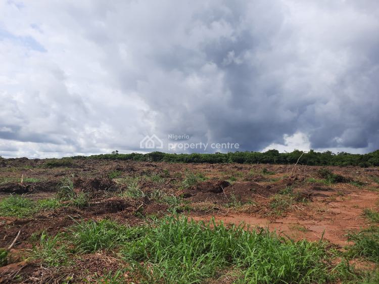 For Sale Farm Land For Cross Cultivation, Flourish Farm Isiwo, After