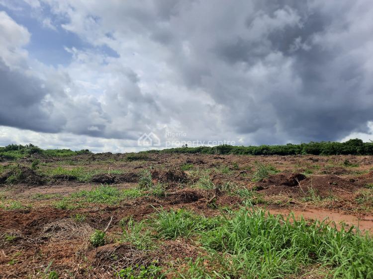 For Sale Farm Land For Cross Cultivation, Flourish Farm Isiwo, After