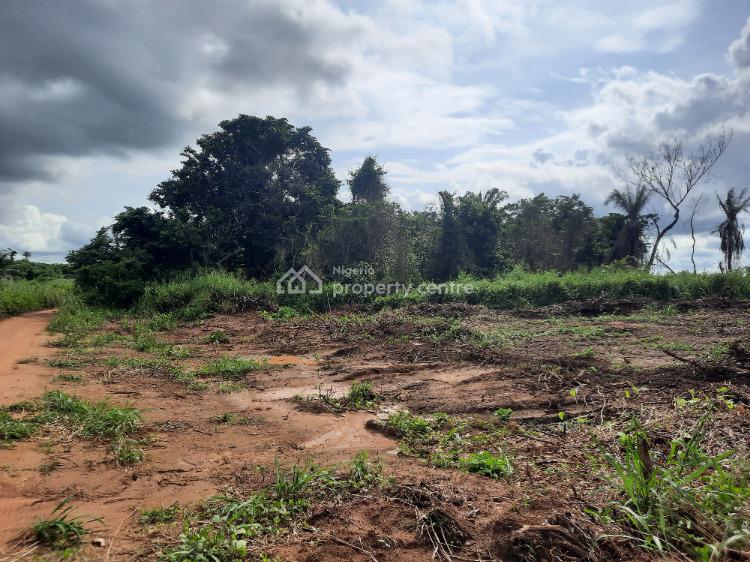 For Sale Farm Land For Cross Cultivation, Flourish Farm Isiwo, After