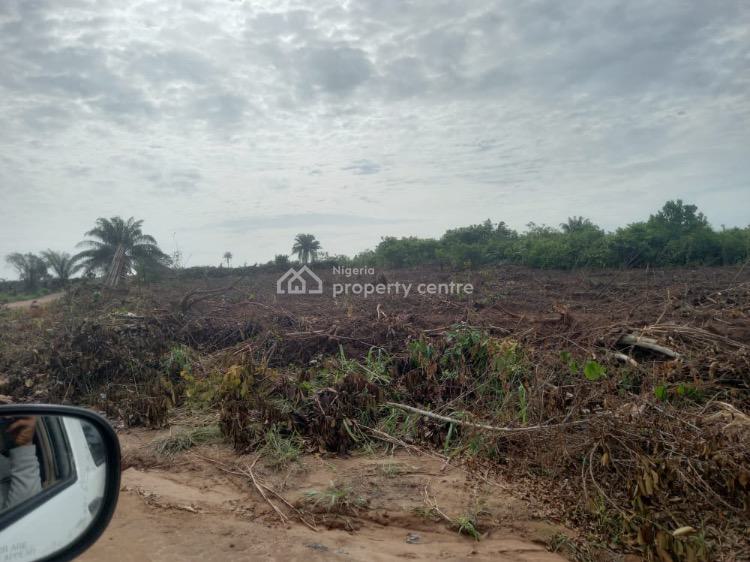 For Sale Affordable Mixeduse Estate Land, Less Than 5 Minutes Drive From Epeijebu Ode Toll