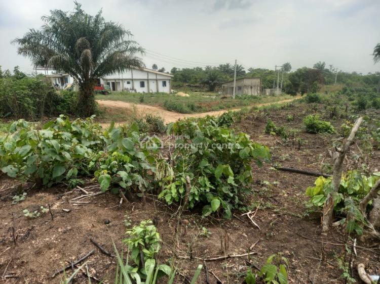 For Sale Affordable Mixeduse Estate Land, Less Than 5 Minutes Drive