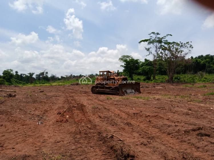 For Sale Fast Appreciating Land In A Serene Location, Hampton Court