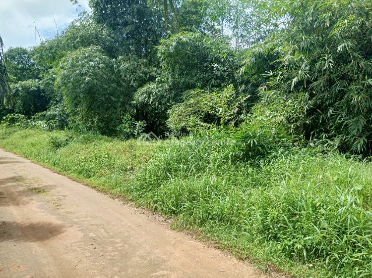 For Sale 345 Acres Of Farm Land In A Good Location, Omagwa / Elele