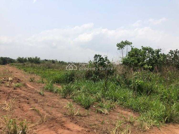 For Sale Hectares Of Virgin Estate Land, Evergreen Global Garden