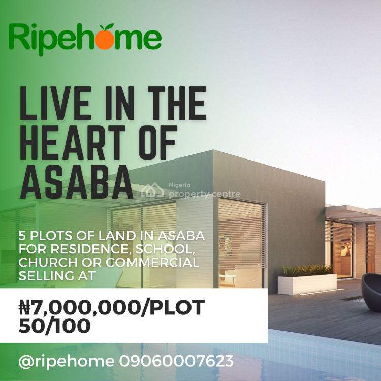 For Sale Buy Land, Okpanam City, Asaba, Delta Nigeria Property