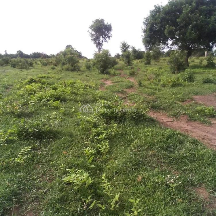 For Sale 20 Acres Farmland (selling All Together), Ilero, Oyo, Oyo