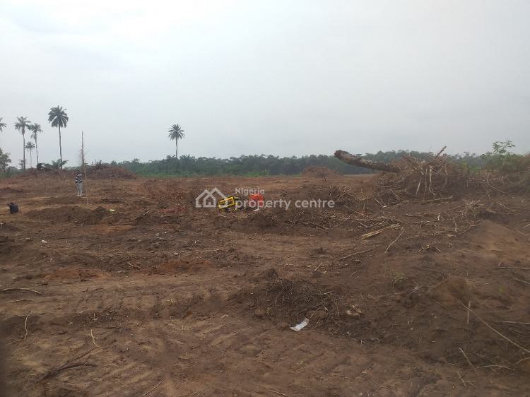 For Sale 100 Dry Land Located Close To Important Developmental