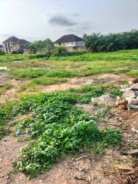 For Sale 300sqm Plots Of Land, Nuj Estate, Arepo, Obafemi Owode, Ogun