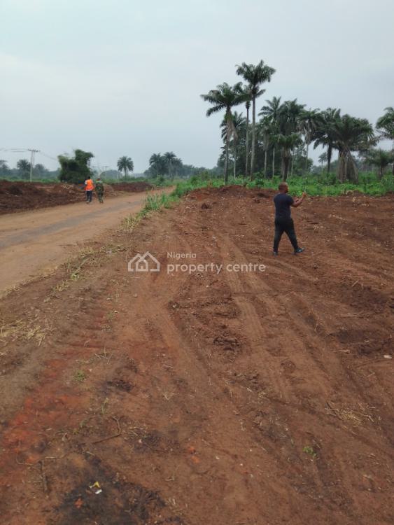 For Sale Buy Comfort, Peridot Estate, Adjacent To Nigeria Immigration