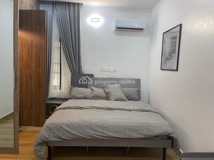 Exquisite Furnished and Serviced 6 Units of 2 Bedroom Apartments, Asokoro District, Abuja, Flat / Apartment for Rent