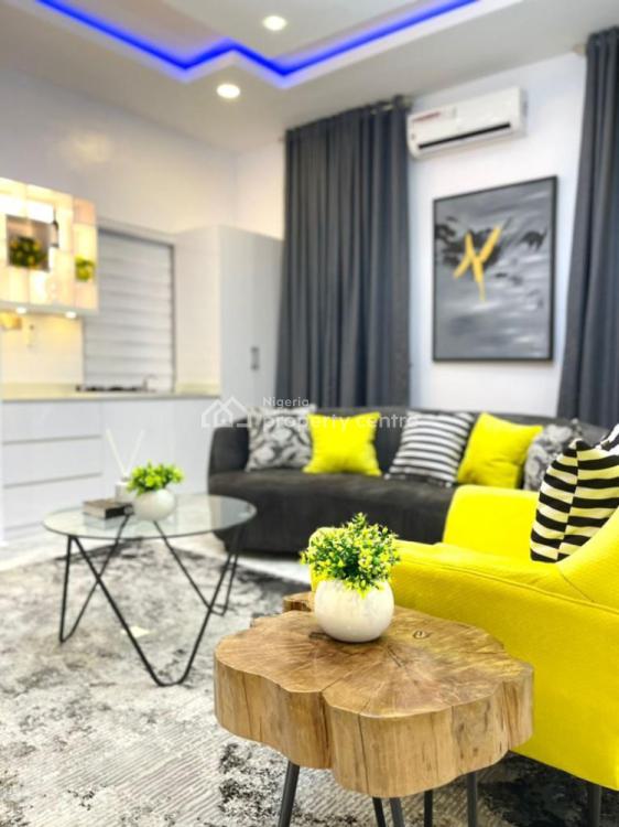 Short Let Luxury 1 Bedroom Apartments With Excellent Furniture, Lekki