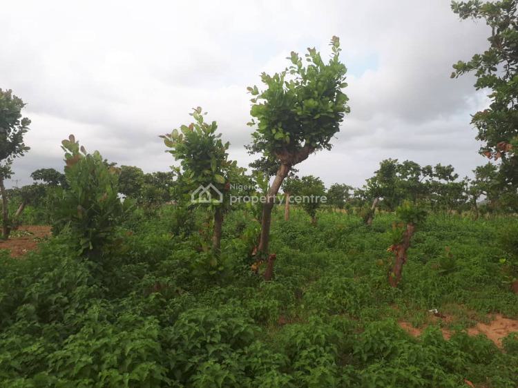 Residential Land Measuring Approximately 10,170sqm, Jikwoyi, Abuja, Commercial Land for Sale