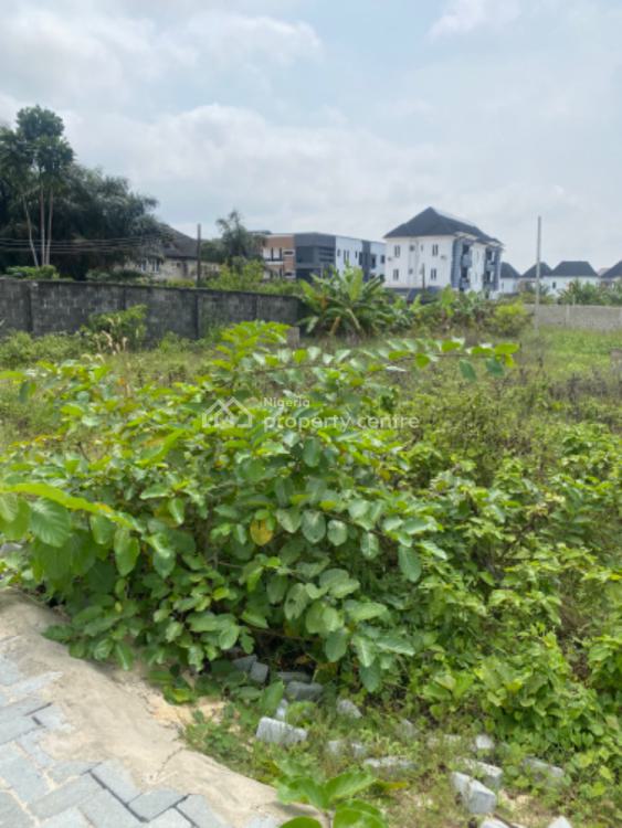 For Sale Commercial Or Residential Mixed Use Land, Atlantic Nominee Estate, Before Lbs, Ajah